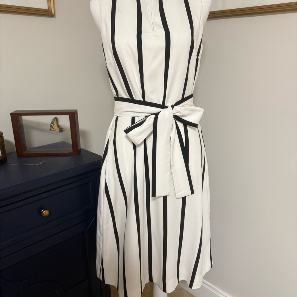 Banana Republic size 6 Black and White Striped Dress